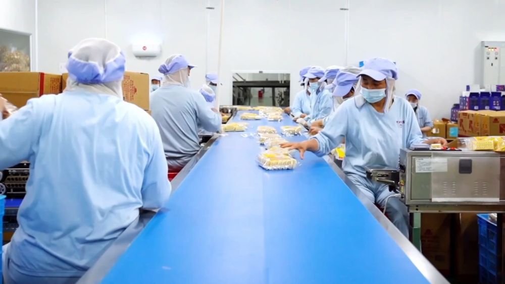 新华视点｜一业兴百业旺 特色产业绘就富民图景