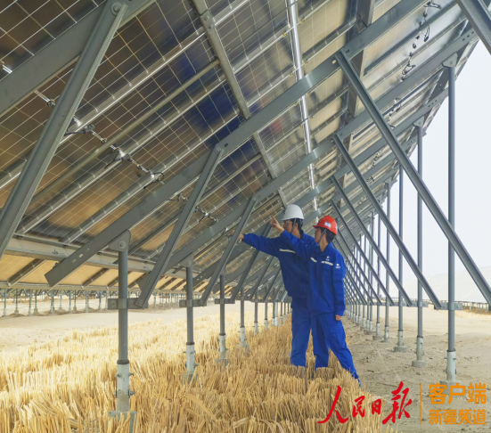 新疆阿克苏探索治沙新模式，助力生态与经济双赢