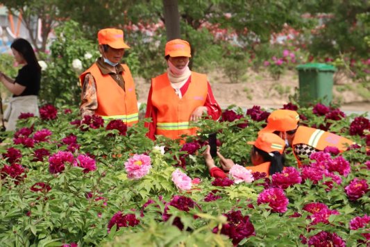 菏泽鲁西新区陈集镇:环卫工人专属的“花”式宠护