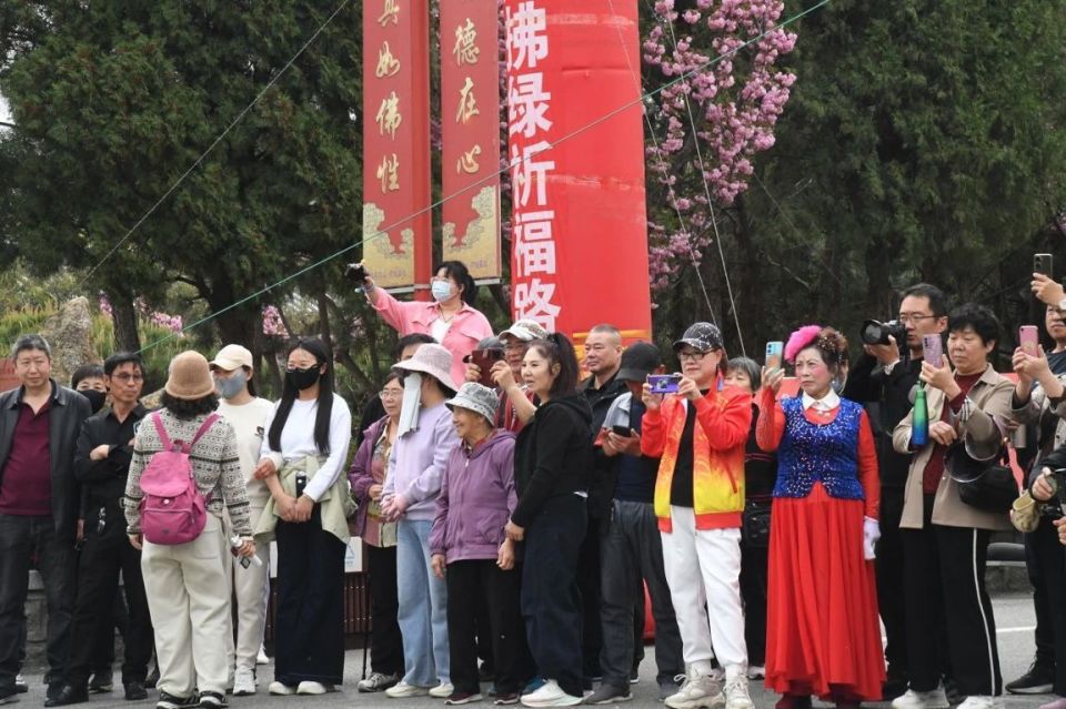 2025南山春季庙会盛大启幕