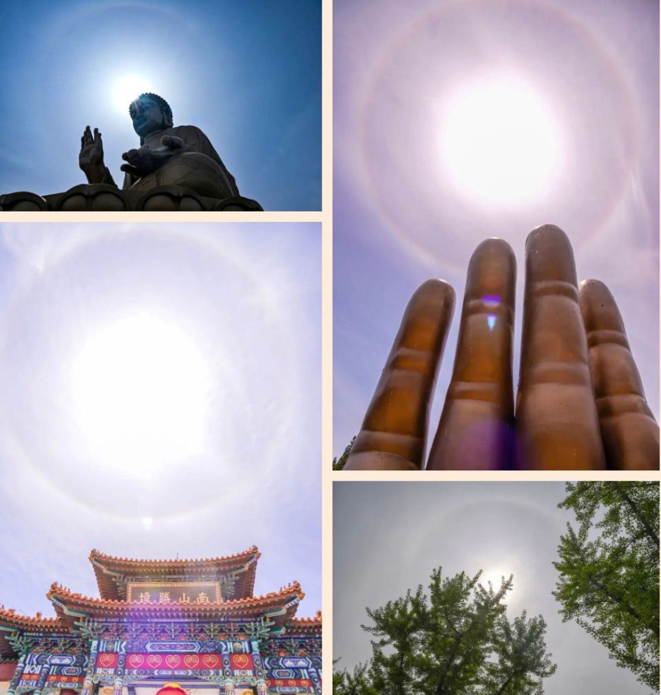 2025南山春季庙会盛大启幕