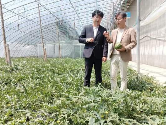 a37cbe66c1b49dc230ae4ca94bb550f