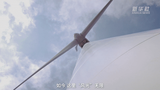沙戈荒来电｜让“无用之地”变“风光无限”