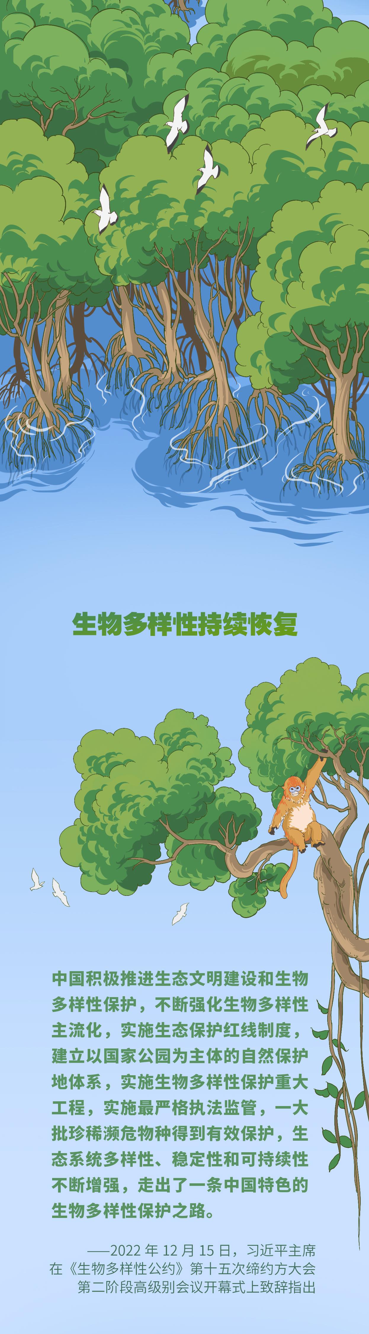 近观“两山”丨守护好蓝色星球