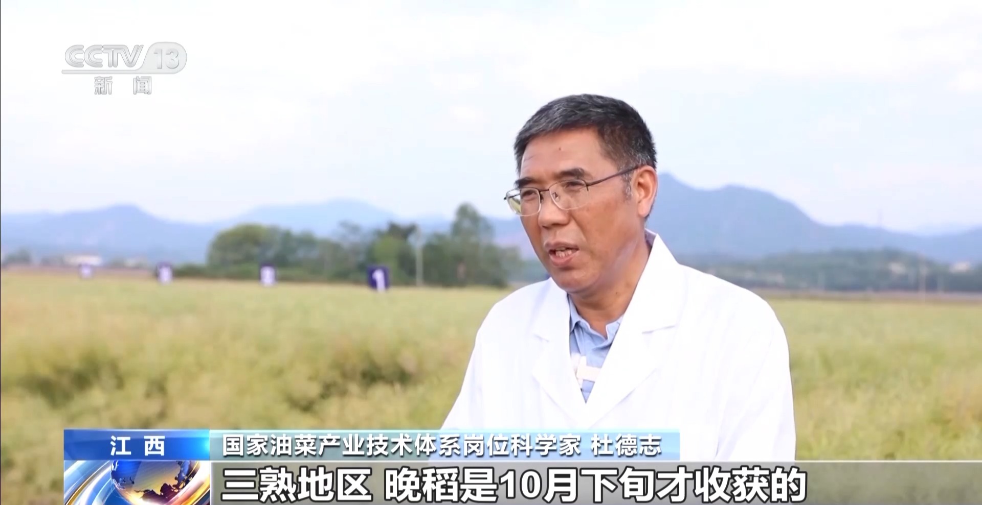 丰收在望!今年我国冬油菜面积1.1亿亩 连续7年增加