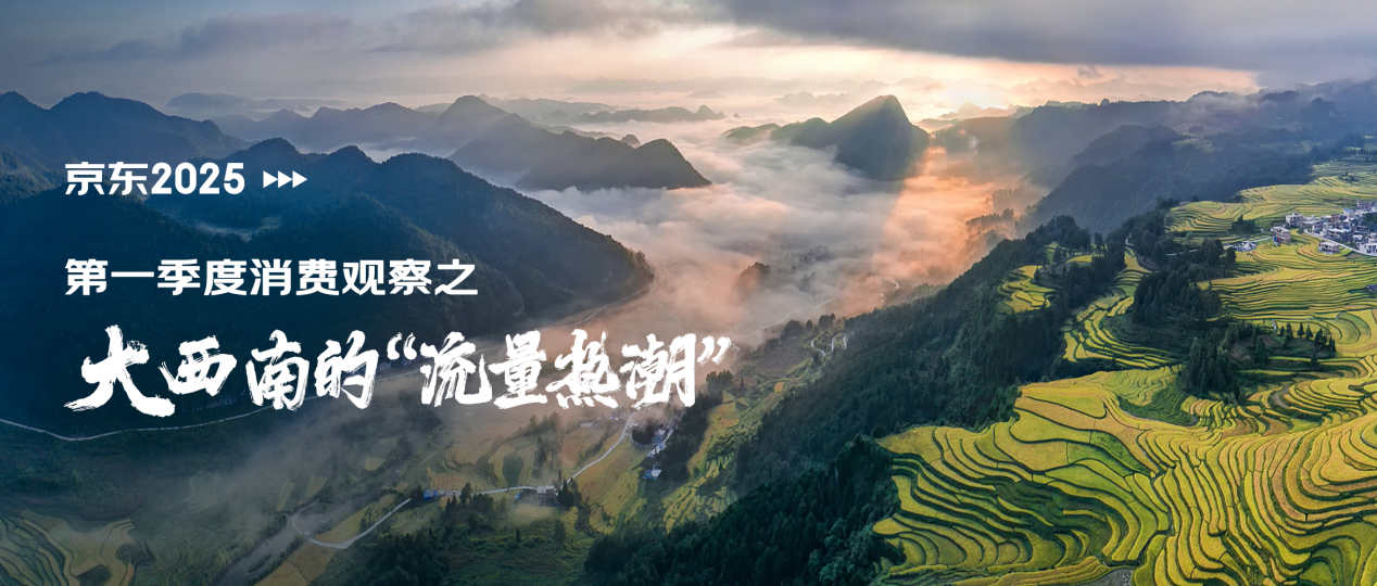 京东一季度消费观察：大西南的“流量热潮”