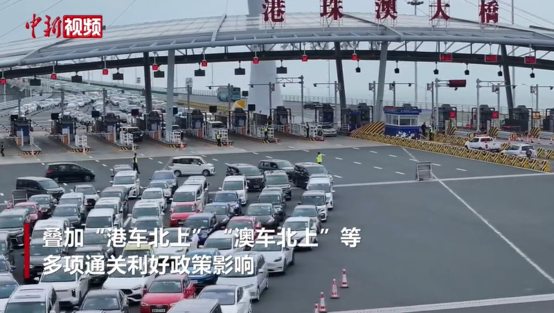 创历史最快纪录!港珠澳大桥今年出入境客流超1000万人次