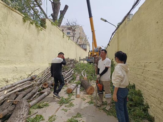 be4899044108ec2aa80be97a58c25e4