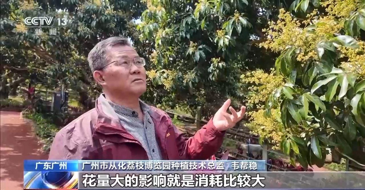 南粤之窗丨水果大省的“新出路”