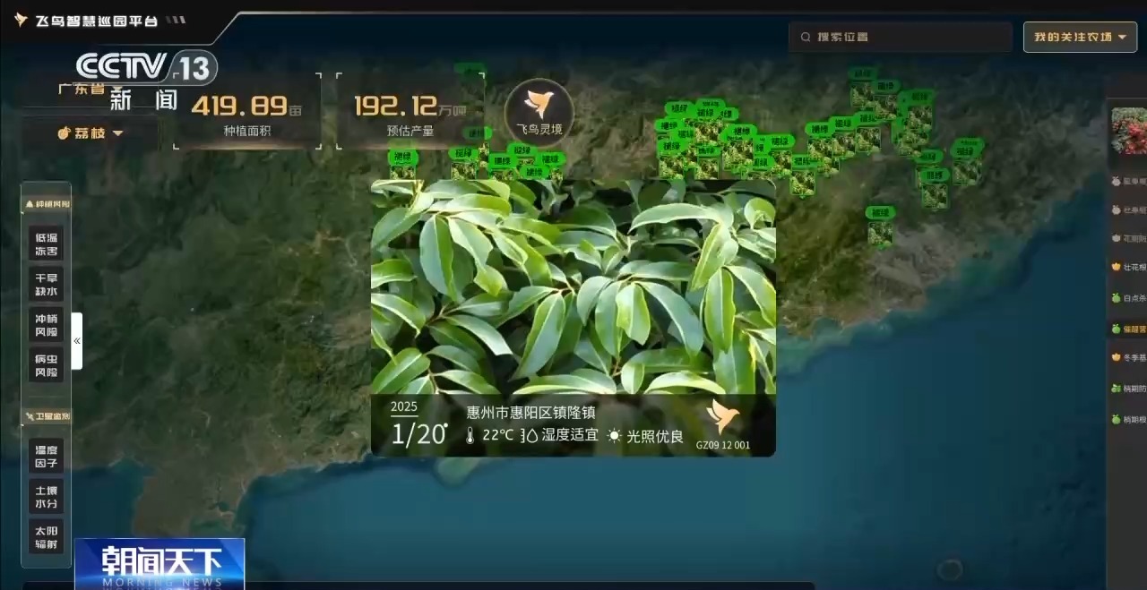南粤之窗丨水果大省的“新出路”
