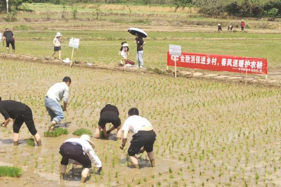 中华财险多措并举护航春耕备耕 全力服务农业强国建设