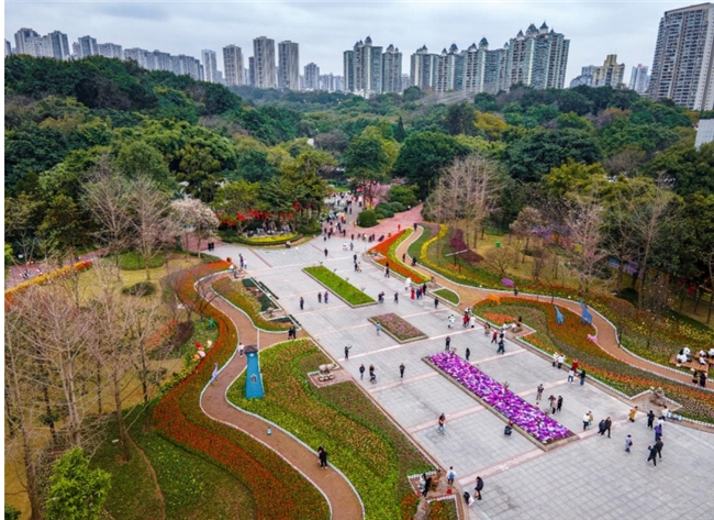 七秩同行自然共生：重庆动物园70周年邀您共赴时光之约