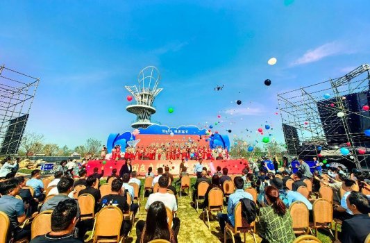 菏泽市牡丹区20对新人情定芍药花海 倡树婚育新风