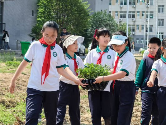 1c4cd6d7bc9daa163915852c5c56894a