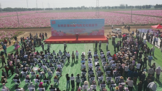 东明县第四届芍药文化旅游节今开幕