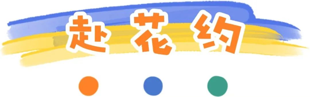 微信图片_20250429190742.png