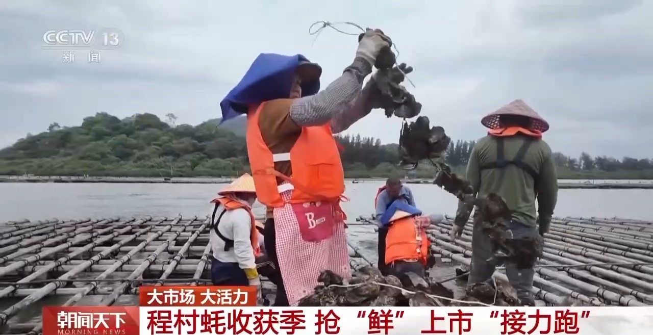 大市场 大活力丨“五一”假日餐桌海鲜热度揭秘 生蚝如何抢“鲜”出发?
