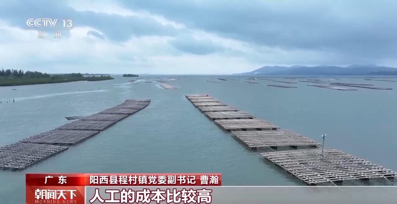 大市场 大活力丨“五一”假日餐桌海鲜热度揭秘 生蚝如何抢“鲜”出发?