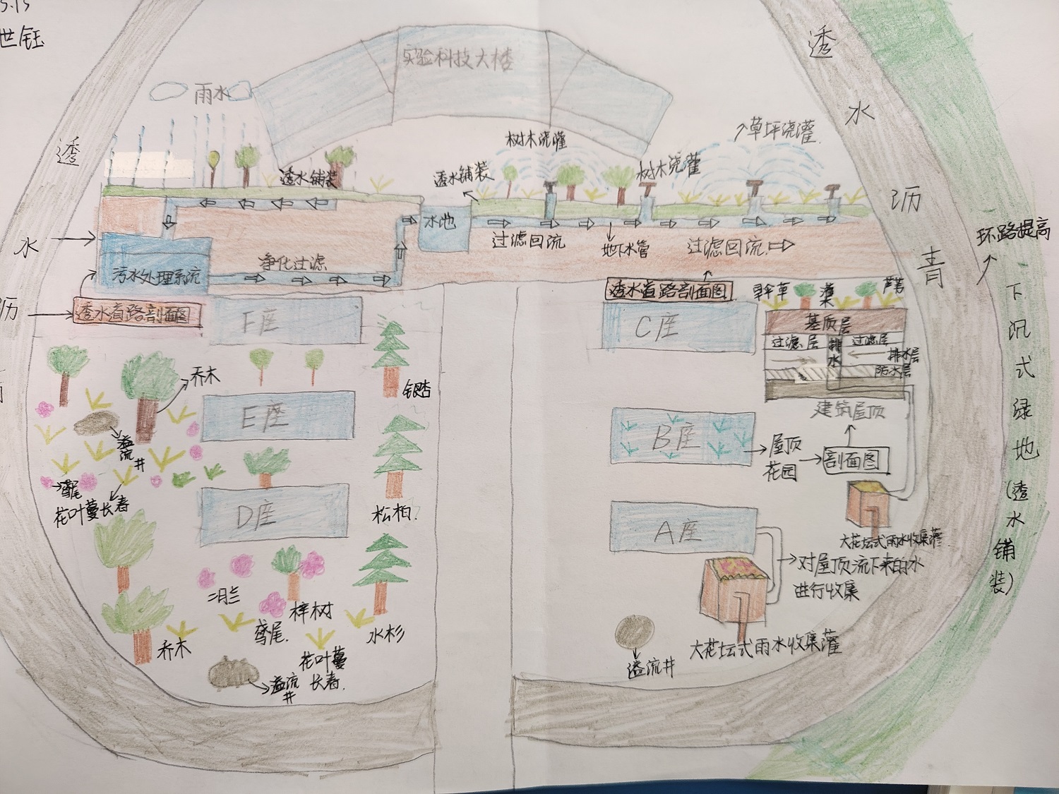 济南市莱芜第一中学：雨水利用？您的校园“改造方案“来了！