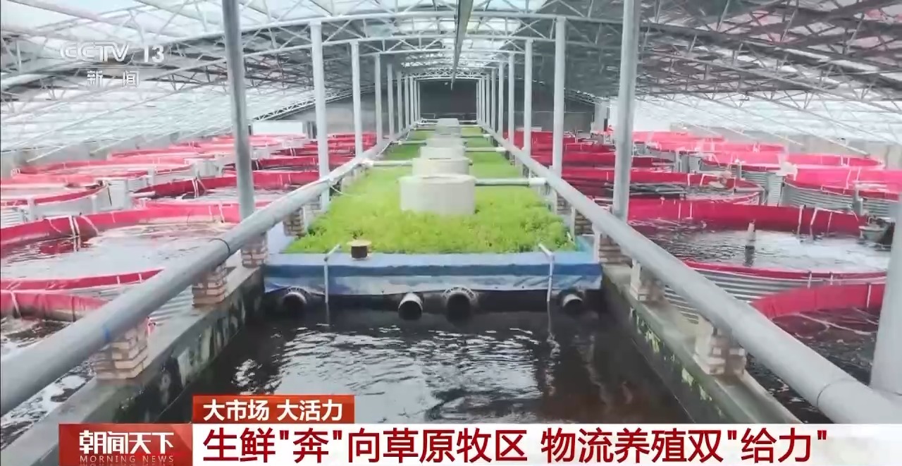 大市场 大活力丨“五一”假日餐桌海鲜热度揭秘 生蚝如何抢“鲜”出发?
