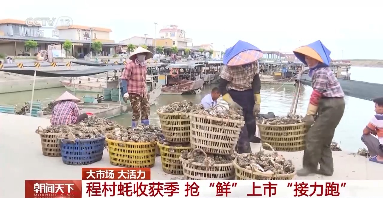 大市场 大活力丨“五一”假日餐桌海鲜热度揭秘 生蚝如何抢“鲜”出发?