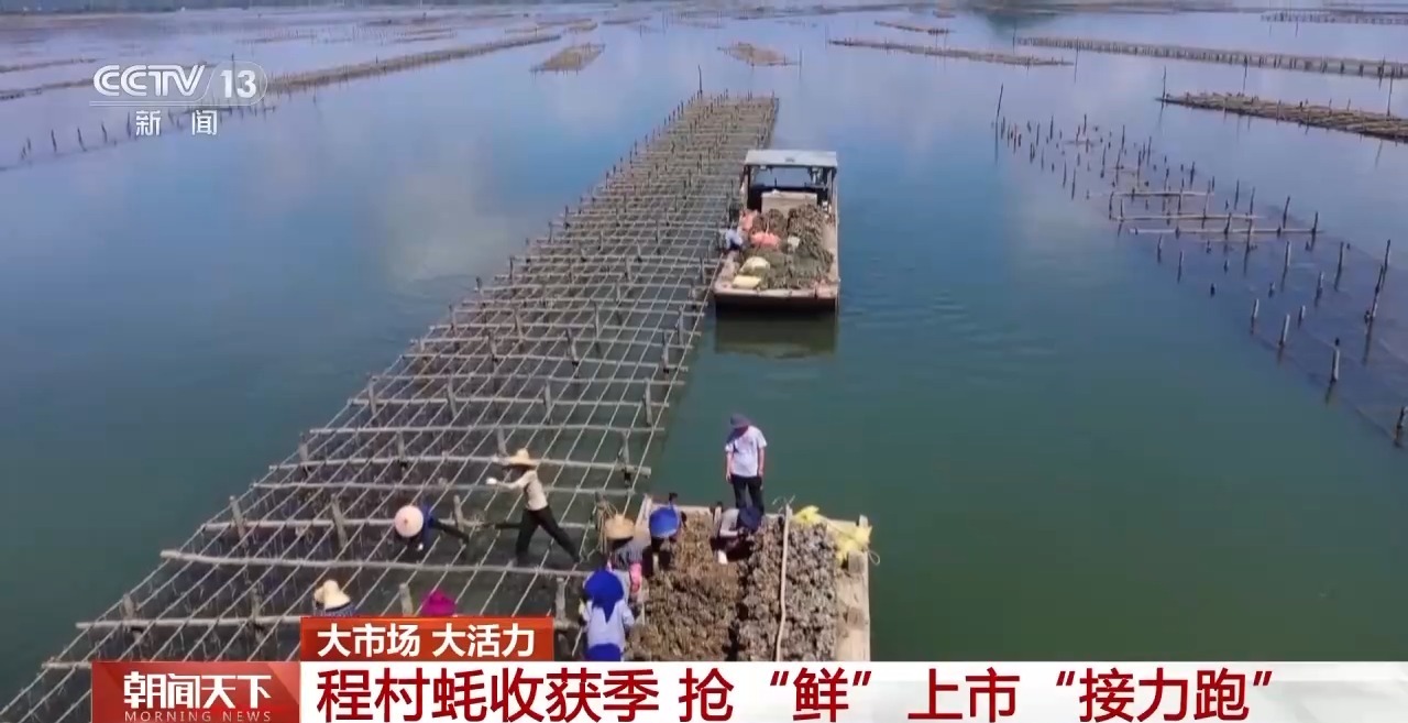 大市场 大活力丨“五一”假日餐桌海鲜热度揭秘 生蚝如何抢“鲜”出发?