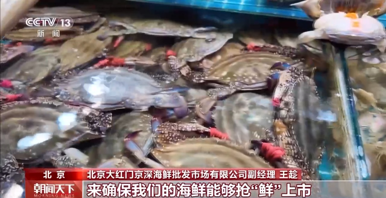 大市场 大活力丨“五一”假日餐桌海鲜热度揭秘 生蚝如何抢“鲜”出发?