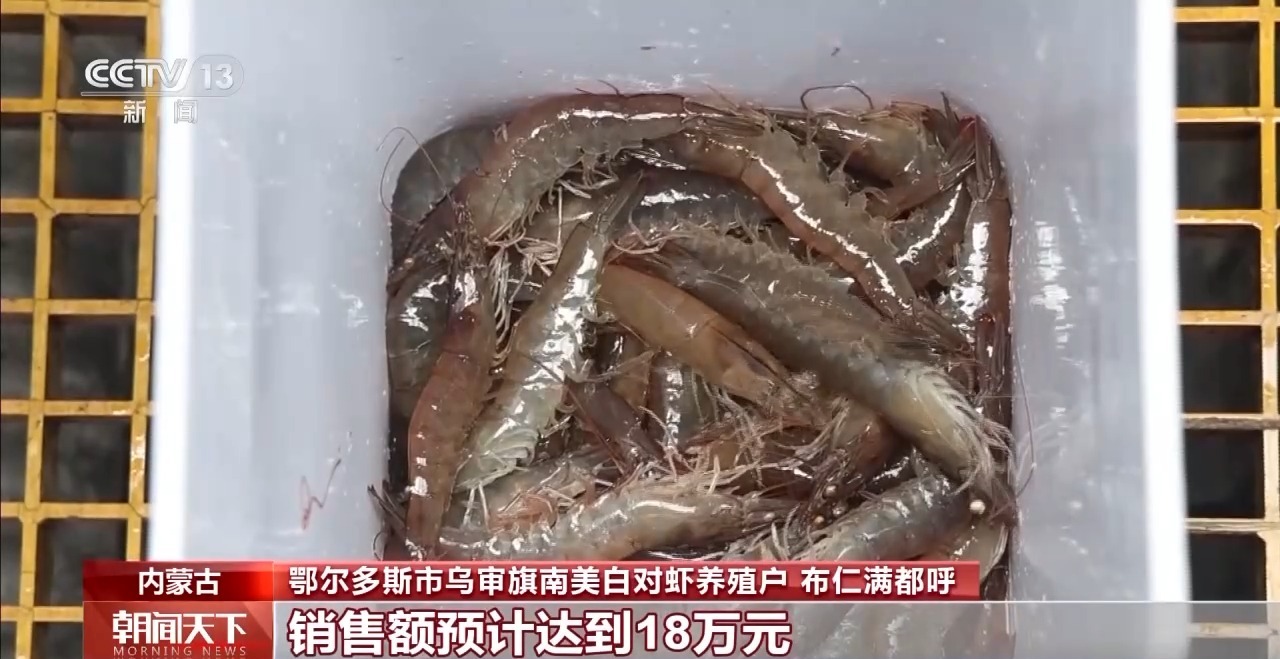 大市场 大活力丨“五一”假日餐桌海鲜热度揭秘 生蚝如何抢“鲜”出发?