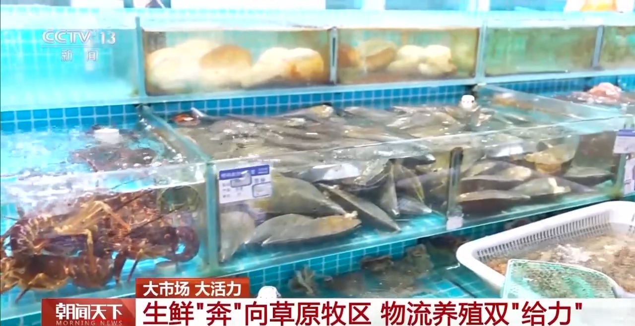 大市场 大活力丨“五一”假日餐桌海鲜热度揭秘 生蚝如何抢“鲜”出发?