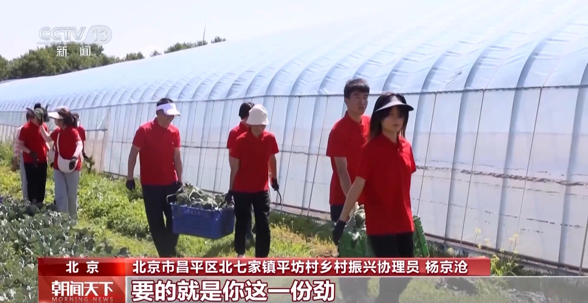 @大学应届毕业生:基层就业还可享受这些“政策礼包”