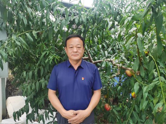 旧貌如何换新颜？看山东乡村致富带头人的“秘诀”