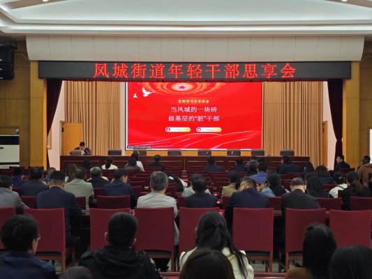 济南市莱芜区凤城街道举办 “青春展翼 凤城力量” 青年干部思享会