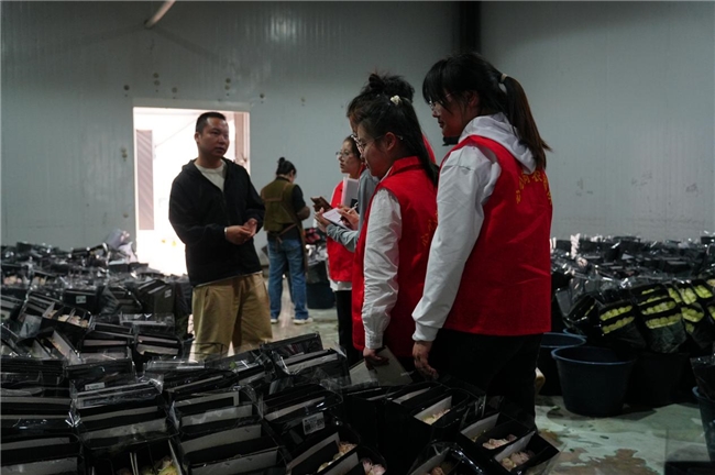 云南交通职业技术学院“心心向农”团队  赴通海县开展农产品种植专题调研
