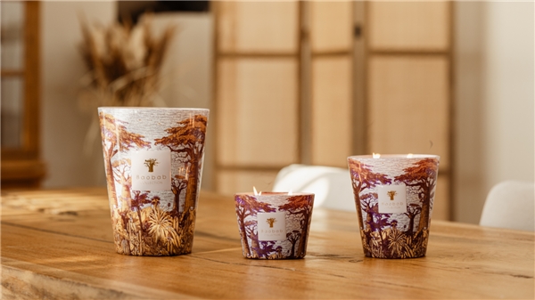 Baobab Collection小红书旗舰店正式上线