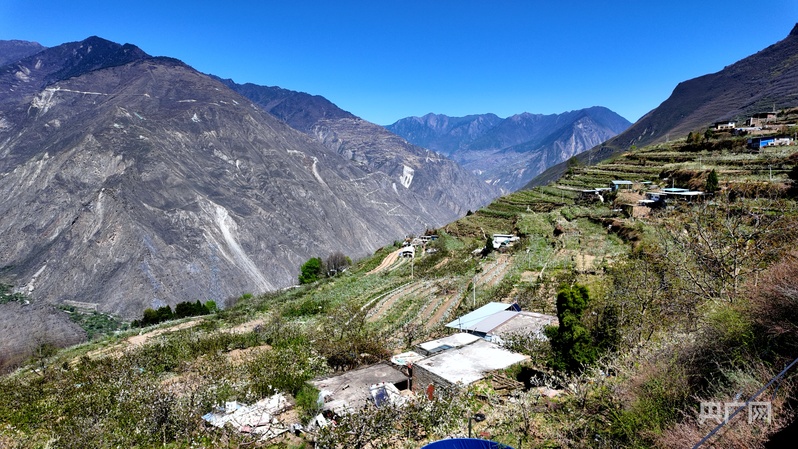【乡路上，感受脉动中国】果香飘四季 高山村寨农旅融合“一路生花”