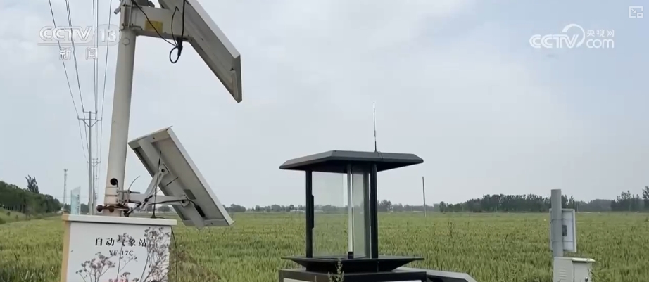 生态种养、科技助力 “新农人”玩转智慧农业 在希望田野上奏响致富“乐章”