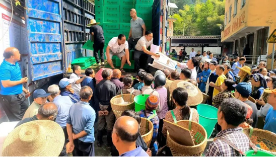 吉首市己略乡：小辣椒撬动乡村振兴大产业
