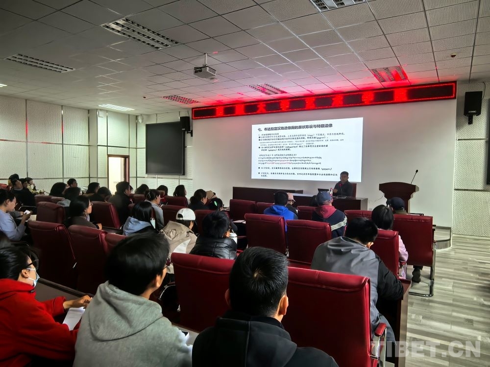 布达拉宫馆藏大明永宣款造像背后的民族交往交流交融