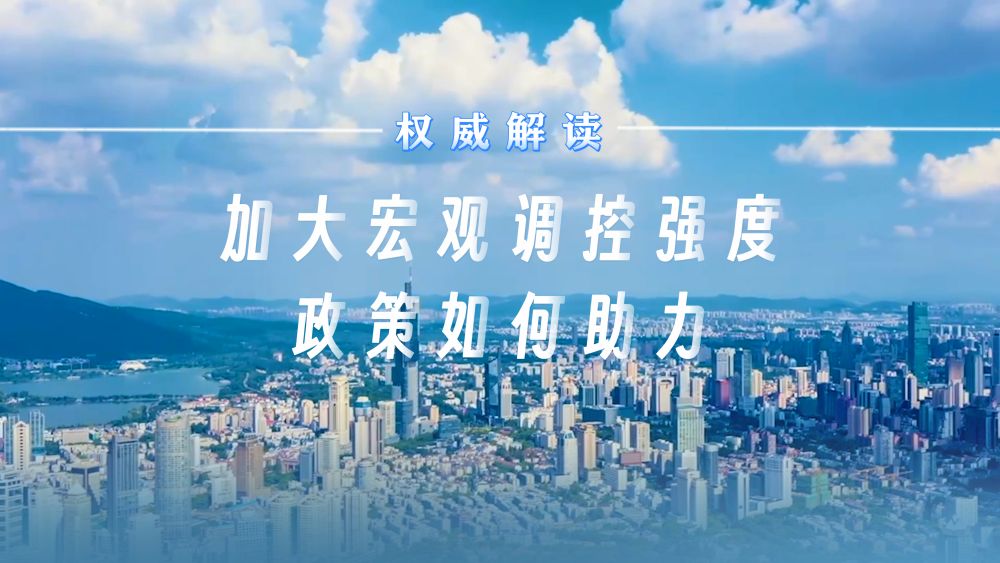 权威解读|加大宏观调控强度,政策如何助力
