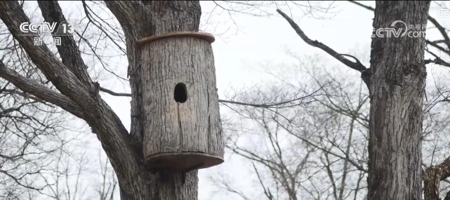 多举措绘就生态画卷:珍稀物种种群恢复 栖息地生机盎然