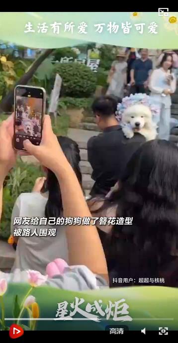 星火成炬 |生活有所爱 万物皆可爱