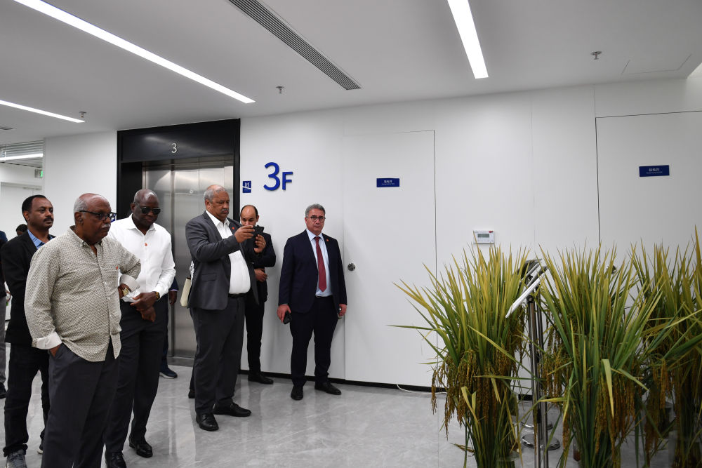 新华鲜报|非洲50国驻华外交官走进湖南:中非合作会越来越好!