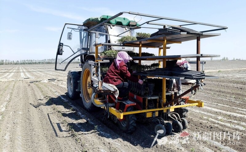 辉煌70年 奋进新征程丨智慧农机驰骋新疆沃土
