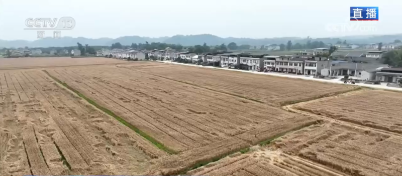 科技助力“三夏”开启“加速度” 广袤田野唱响丰收赞歌