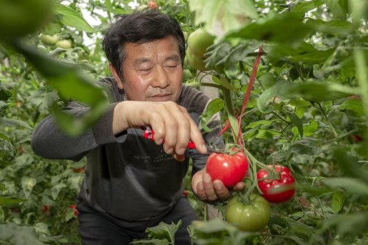 坊子-周顺治图片3