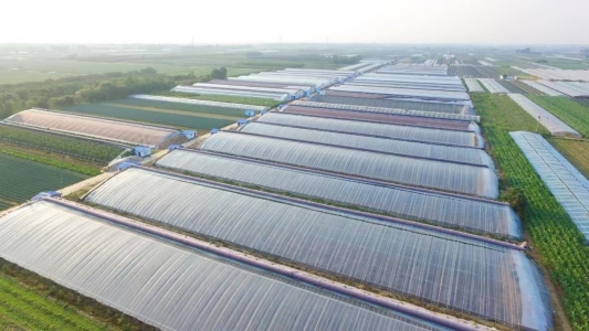 坊子-周顺治图片5