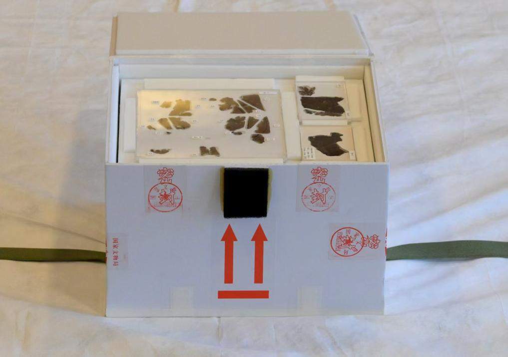 79年漂泊无定 国宝回家!帛书归来