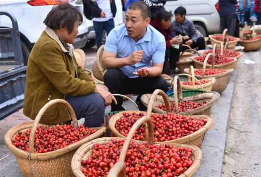 了解农产品市场行情1