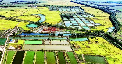 【携手奔赴现代化的明天】这么一“升级”,吉林农业真的变了! 【携手奔赴现代化的明天】这么一“升级”,吉林农业真的变了!