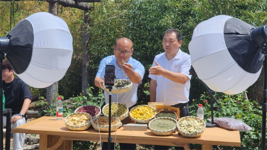 开展直播助农活动3